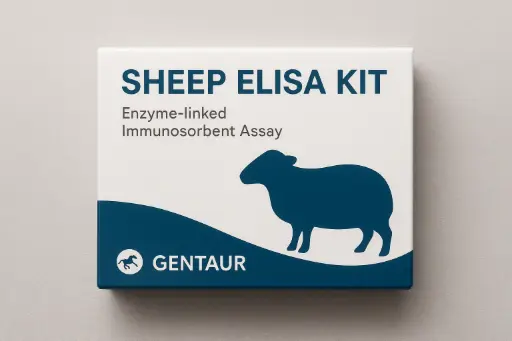 Sheep Oxtc ELISA Kit