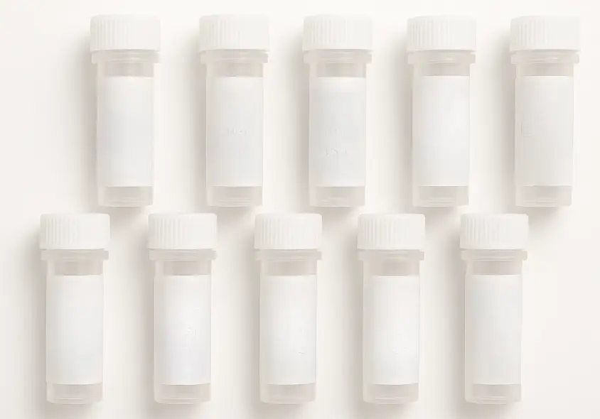 Human BICD1 Protein Lysate 20ug