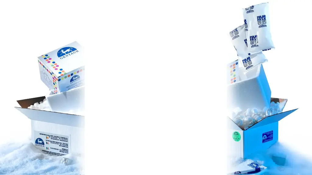  NATtrol™ Norovirus GII Positive Control (6 x 0.5 mL) CE IVD