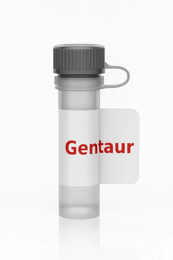 Rabbit Anti-ARL11 PAb