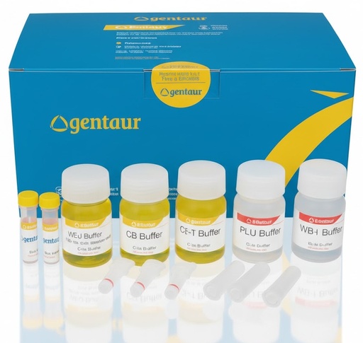 [AN0081] HigherPurity Yeast DNA Isolation Kit