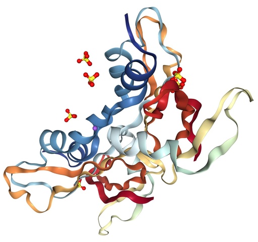 [142KS54] RNase A – 26260