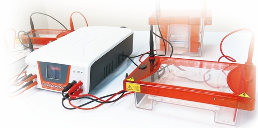 [SK-ELECTRO-1095] Electro Blot Maxi, 200x200mm system for 5 cassettes, including 1 x tank and 1 x lid, 5 x cassettes, cooling pack and 12 extra fiber pads
